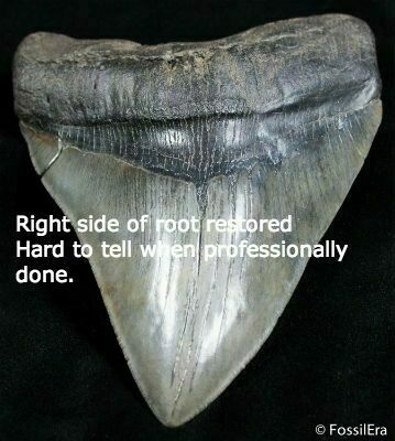 The right side of the root on this tooth is restored.  Very hard to tell when professionally done.